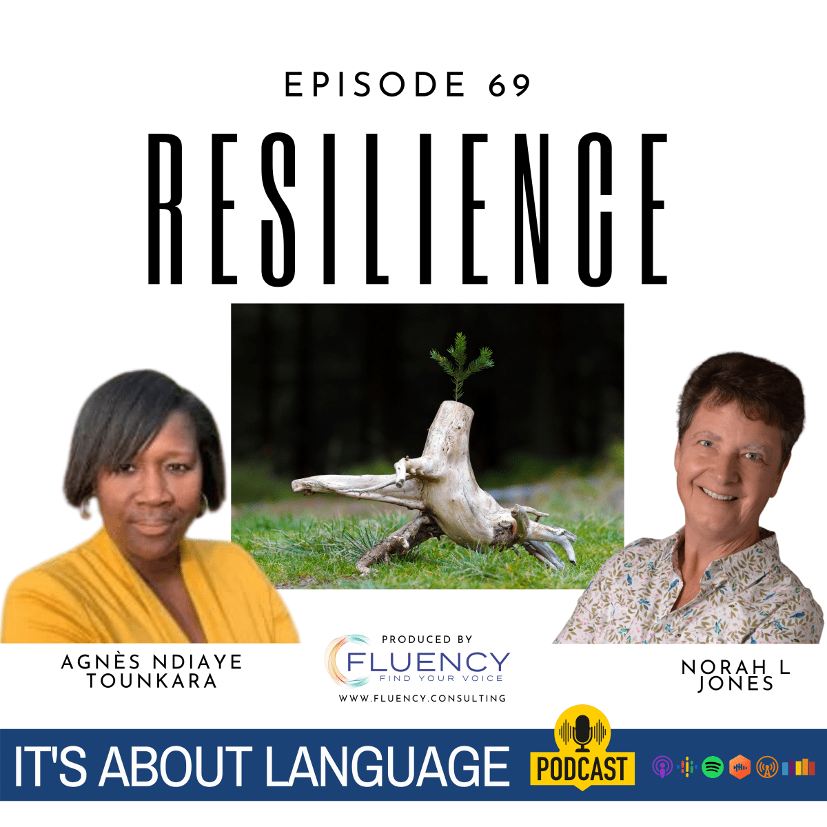 Fluency Consulting Episode 69 Resilience